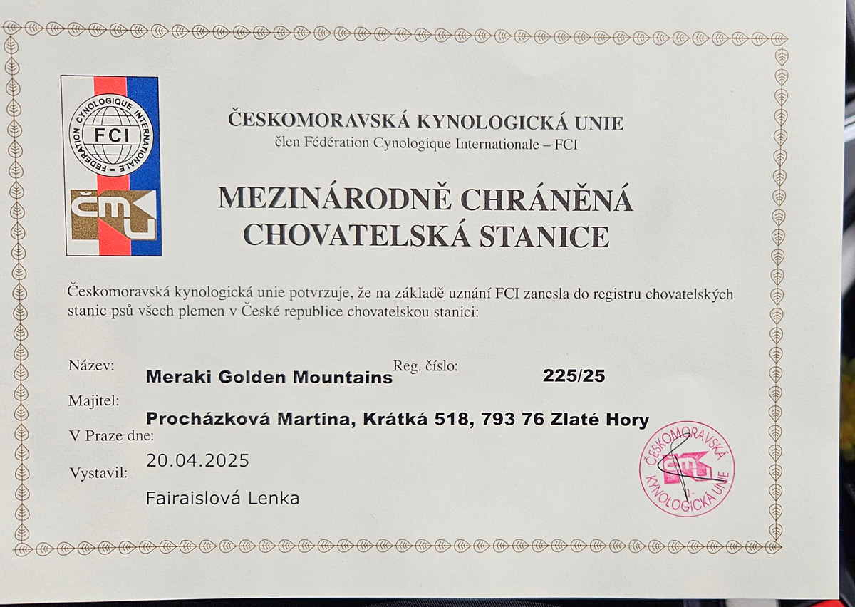 certifikat chs